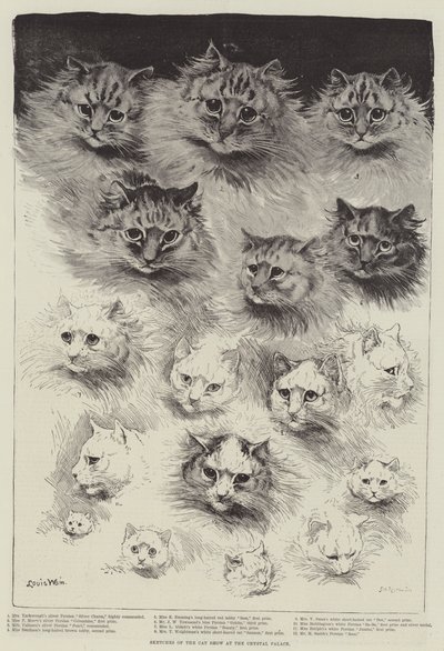 Schizzi della mostra felina al Crystal Palace da Louis Wain